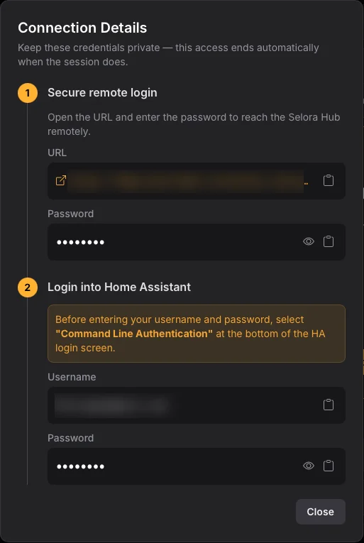 The Connection Details dialog with the secure remote login URL and password, and the Home Assistant username and
password