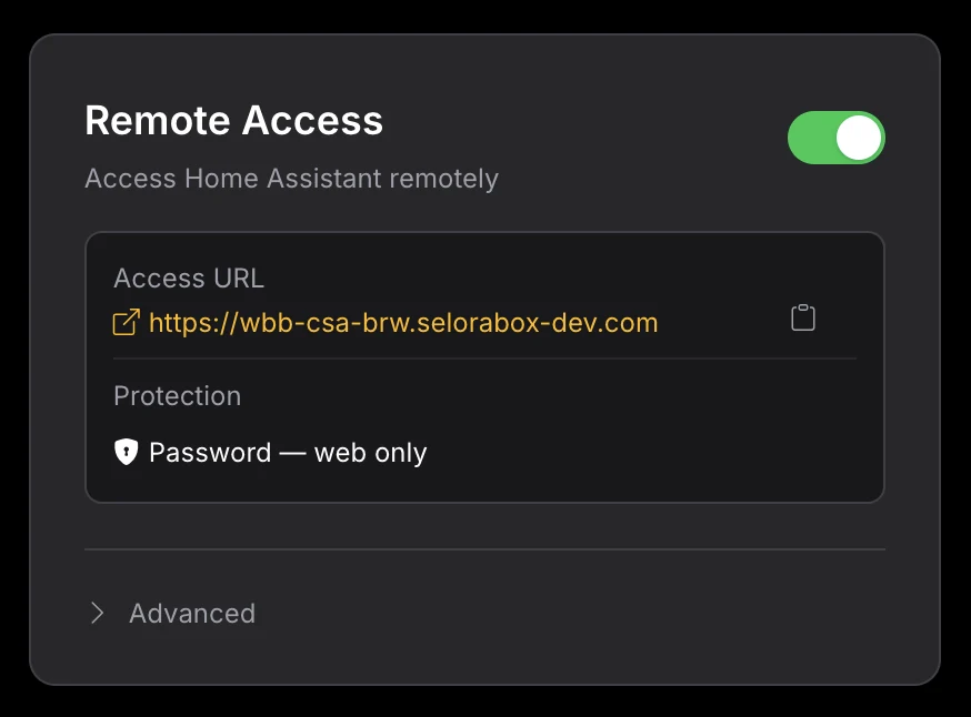 The Remote Access card, showing the access URL and the current protection mode