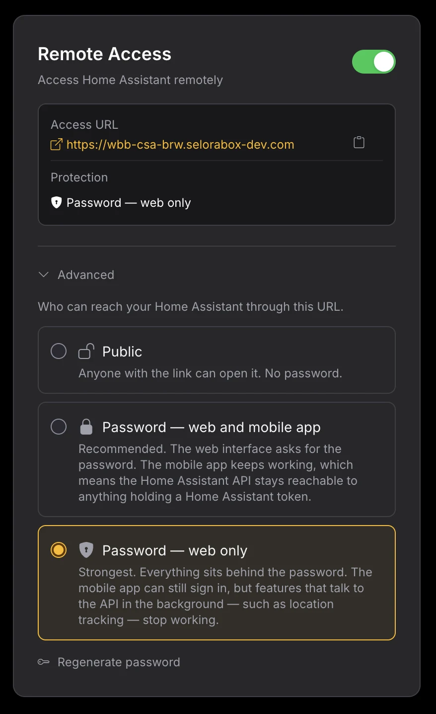 The Advanced section of the Remote Access card, showing the three protection modes