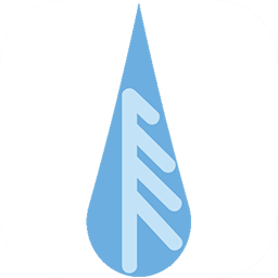 Rainforest Eagle logo