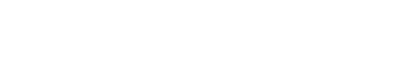Google Home